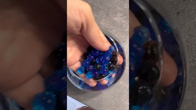 Как вырастить орбизы #орбиз #орбизы #смр