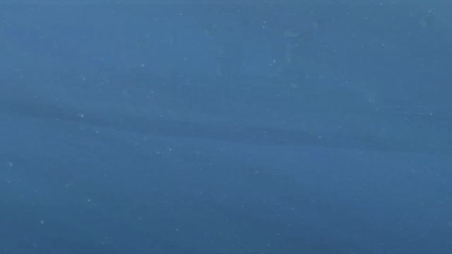 Silent Hunter 4 и Сергей Галанин - Холодное море молчит смотреть онлайн