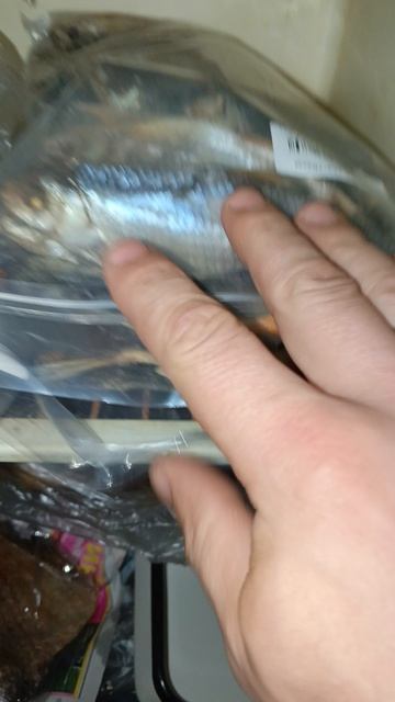 У жены отдельный холодильник 😉 смотреть онлайн