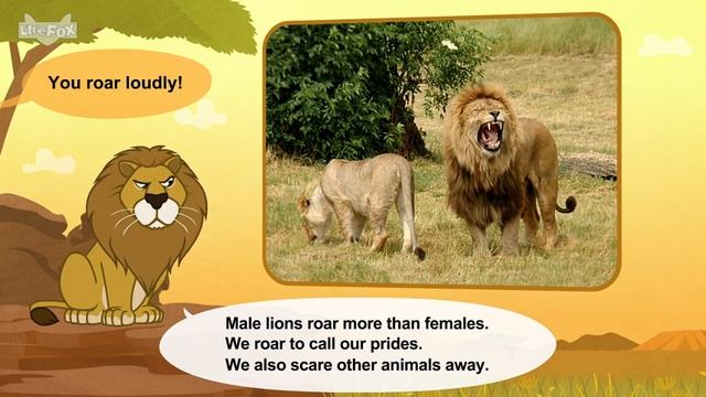 29. Meet the Animals African Lion Big Cats Stories for Kindergarten смотреть онлайн