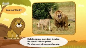 29. Meet the Animals  African Lion  Big Cats  Stories for Kindergarten
