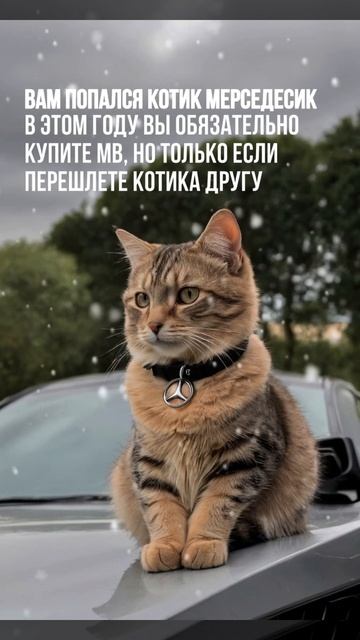 Ты знаешь, кому отправить смотреть онлайн