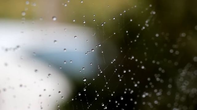 Free HD stock footage, капли воды на стекле 07 смотреть онлайн