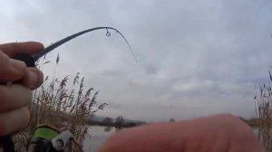 ловля форели на платнике. впервые на платном водоёме учимся ловить форель на спиннинг