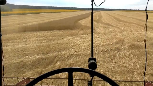 Claas Mega 208. Уборка озимой пшеницы смотреть онлайн