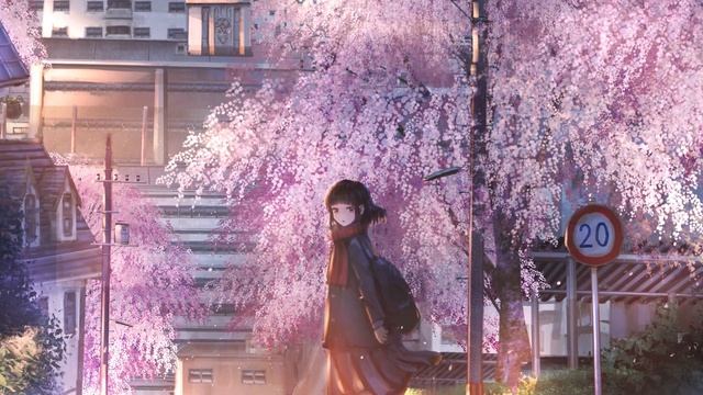 ✿ Anime Sakura fantasy screensaver ❀!! HD Cherry Blossom Picture Show! смотреть онлайн