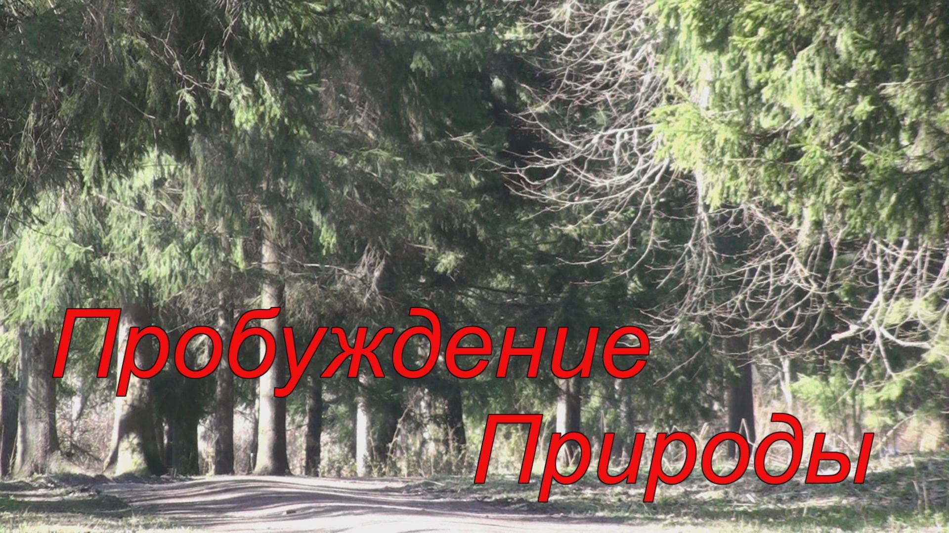 Пробуждение природы смотреть онлайн