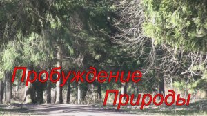Пробуждение природы