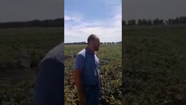 Поездка в хозяйство Николая Юзефова (1) смотреть онлайн