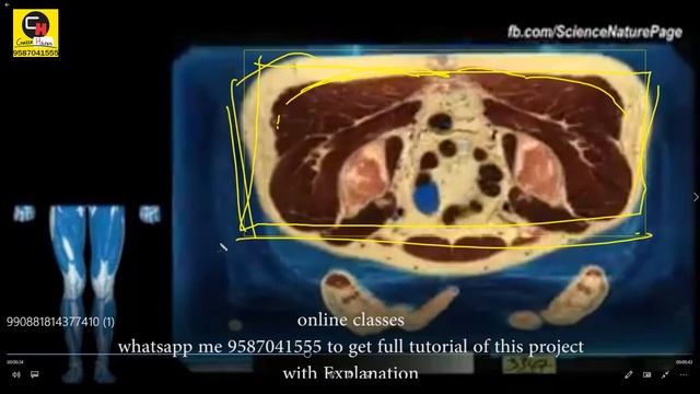 WOMAN BODY ANATOMY | BODY SCULPTING HINDI TUTORIAL IN ZBRUSH 2018 PART2 смотреть онлайн