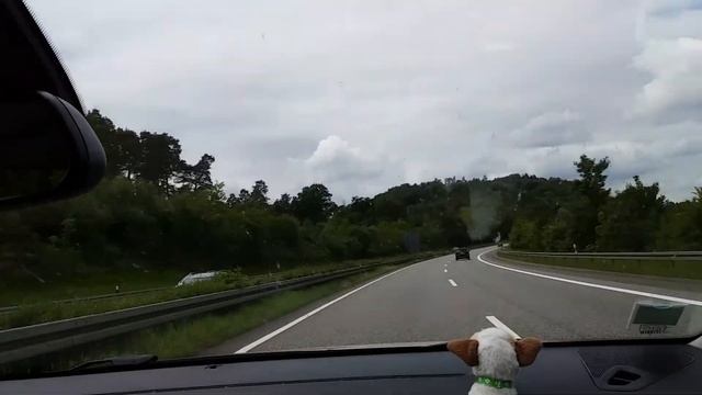 Citroën C4 Cactus testing, May 2019. смотреть онлайн