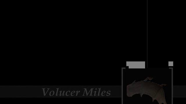 Blender Portfolio v.1.0 смотреть онлайн