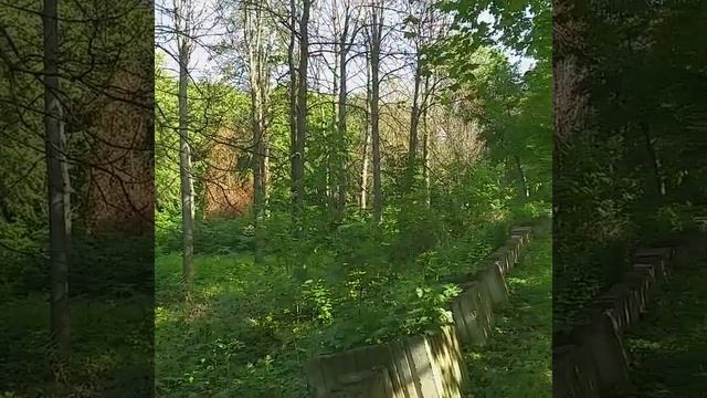 Сухие каштаны,май 19 смотреть онлайн