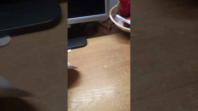 открываю куклу лол