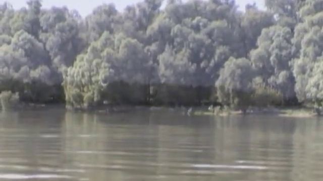 SONTA Ja cuvam jos sliku s dunava смотреть онлайн