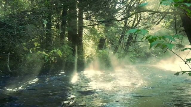 Чибисов жёстко про фанатов футбола. смотреть онлайн