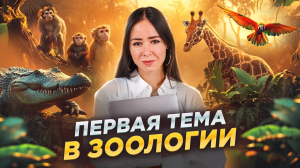 Зоология с нуля: простейшие I ЕГЭ по Биологии I Умскул