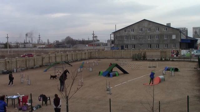 Ремизов Евгений и Ариша гемблерз смотреть онлайн