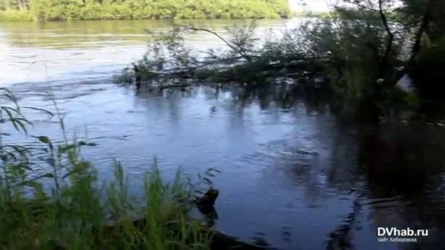 В районе Биробиджана повысился уровень Биры смотреть онлайн