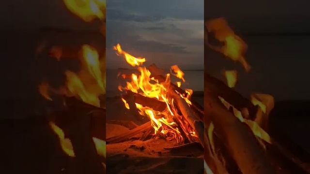 Михаил Круг - Лебеди 🦢🦢🦢 Костер, Обское море, Новосибирский Академгородок 🔥 Mikhail Krug - Swans 🦢 смотреть онлайн