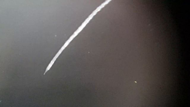 Под микроскопом. На стенках аквариума смотреть онлайн