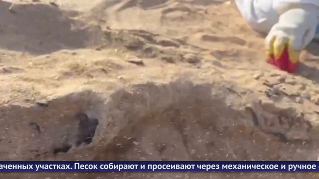 Обнинские новости (за 27 февраля 2025) смотреть онлайн