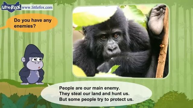 02. Meet the Animals | Mountain Gorilla | Wild Animals | Stories for Kindergarten смотреть онлайн