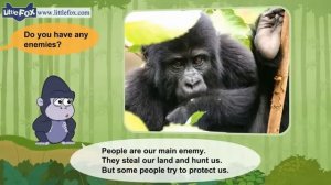 02. Meet the Animals |  Mountain Gorilla | Wild Animals | Stories for Kindergarten