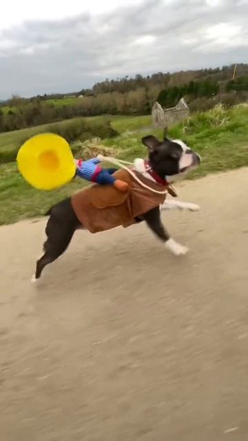 АХАХАХАХАХ