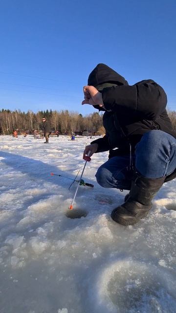 Поимка на поставушку смотреть онлайн