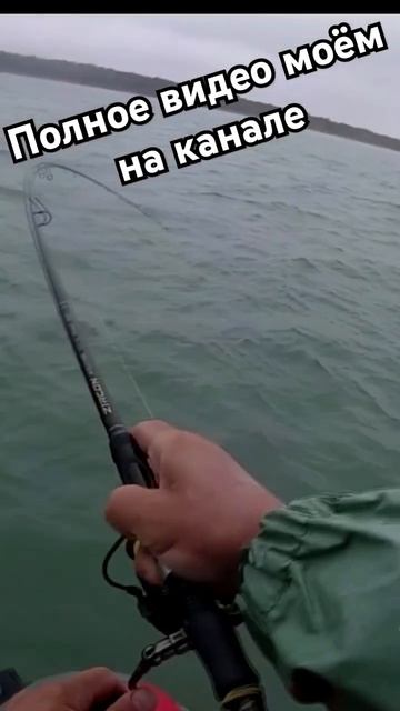 Рыбалка.Окунь радует поклёвками. #fishing #щука #рыболовная #рыбалка #окунь