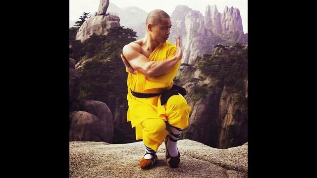 Шаолиньская мудрость Майский Жук смотреть онлайн