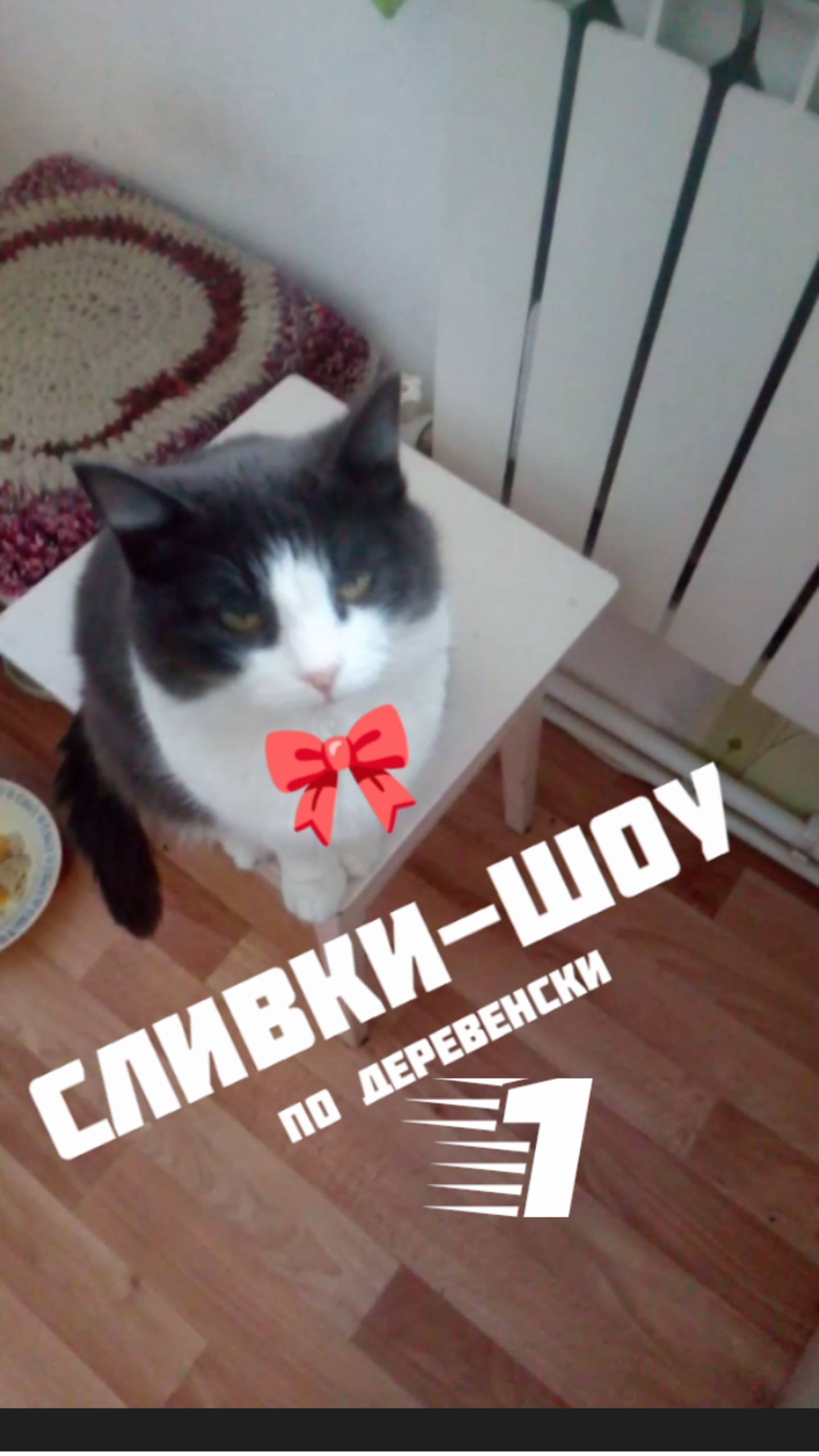 #деревня Сливки Шоу