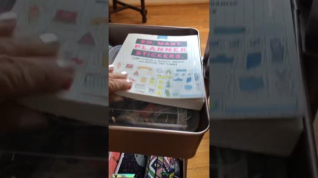 Review and Set Up of my New Michael’s Craft Storage Cart смотреть онлайн