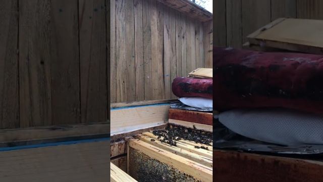 Продолжения роботы на пасеке.... смотреть онлайн