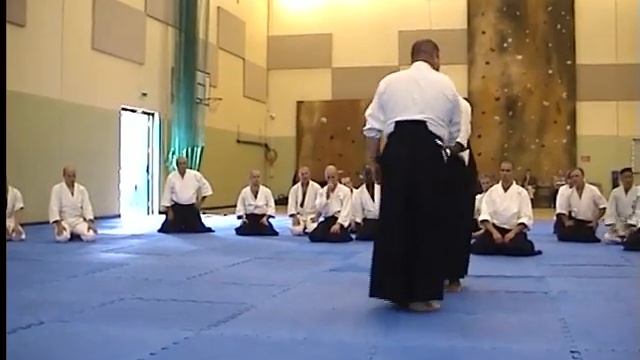 Айкикай Великобритании. Практика с гостем (инструктором) Юкимицу Кобаяси (2009) - ч 2