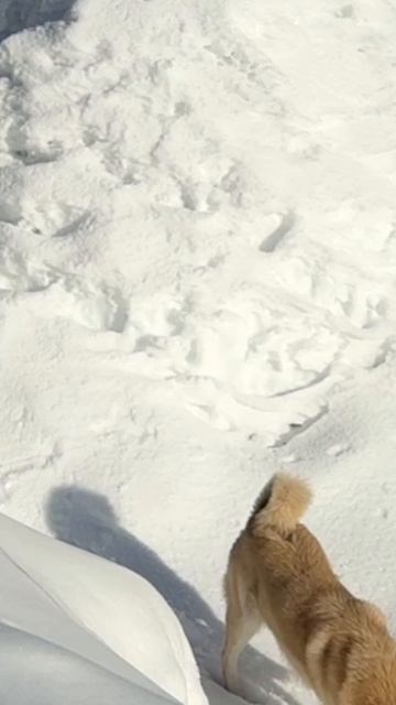 Не всегда все идет по плану смотреть онлайн