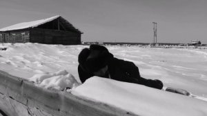 Я расскажу Вам о войне