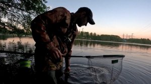 Ловля карпа и амура на удочку на Десногорском водохранилище (ДВХ).