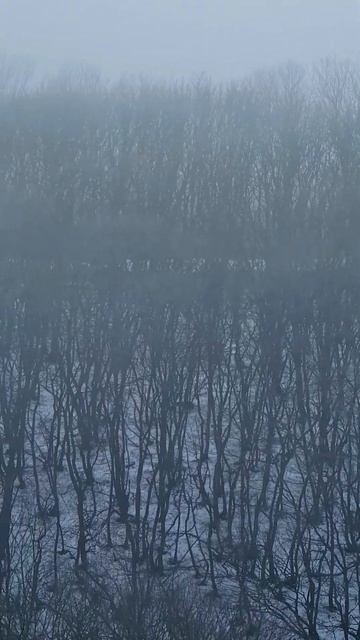 ОХОТА НА КАБАНА