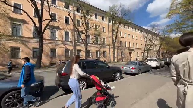 Цветение сакуры этой весной в Санкт-Петербурге #сакура