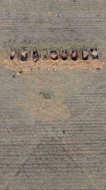 ДОБЫТАЯ УТКА СБЕЖАЛА ОТ ОХОТНИКОВ | Обнаружили только на записях