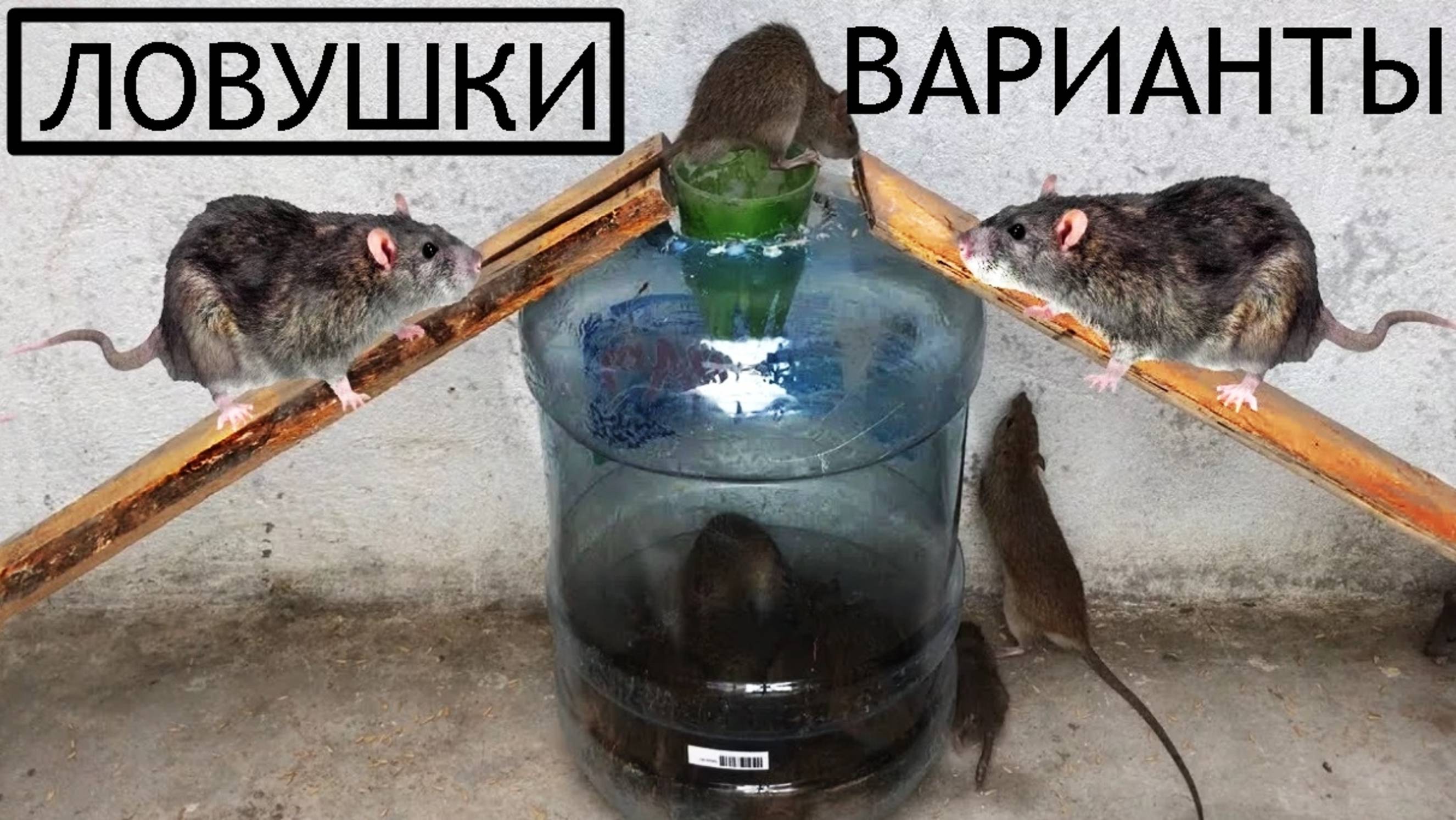 🐭Мышеловки,ловушки.Много вариантов . смотреть онлайн