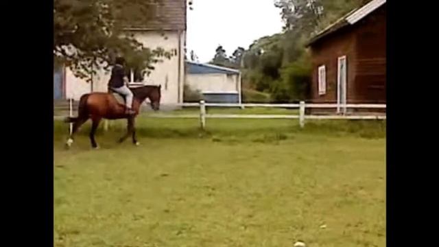 Red Rubin the movie 3 смотреть онлайн