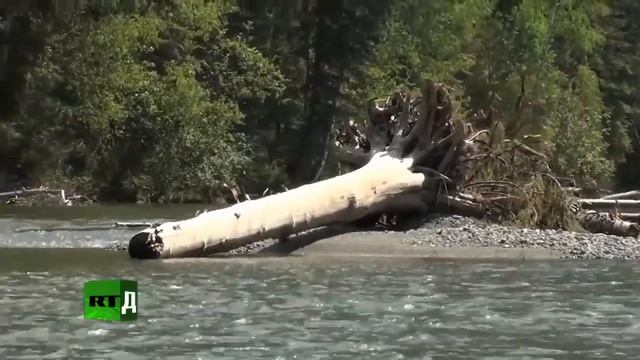 Агафья Лыкова. Часть 1.