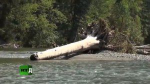 Агафья Лыкова. Часть 1.