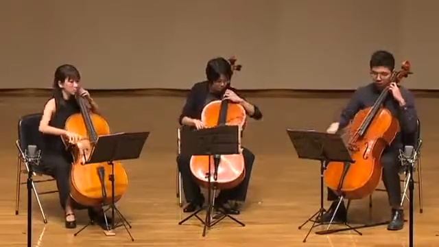 十破天驚—Benedetto Marcello Sonata No.5 for 2 Cellos and Basso Continuo смотреть онлайн