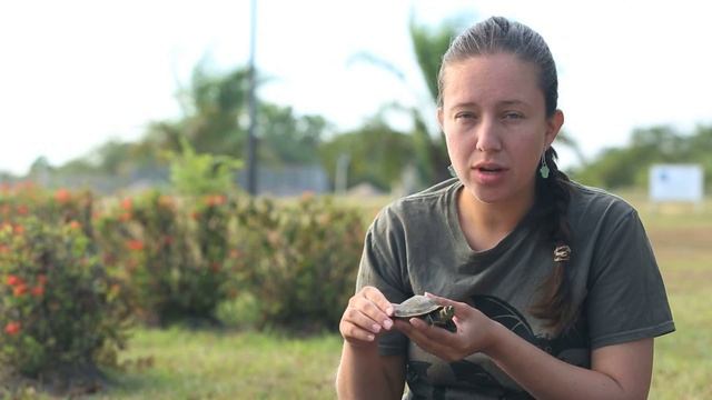El arca de María: vol II смотреть онлайн