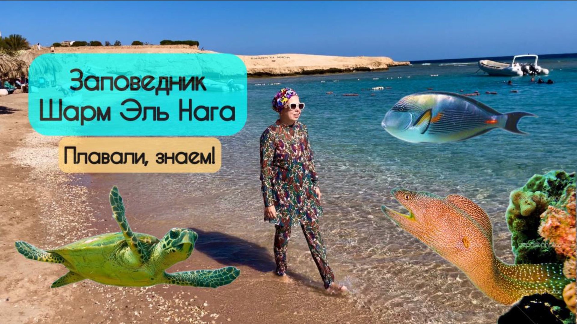 Заповедник Шарм Эль Нага около Хургады🐠🐡 Зачем туда ехать? 🐙 смотреть онлайн