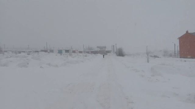 погода в тульской области 15.02.2024